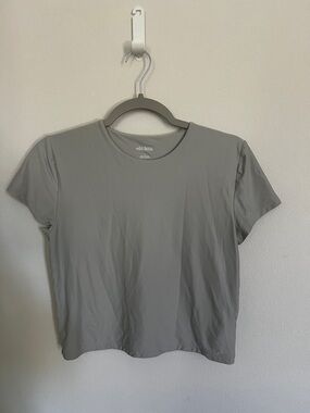 wild fable Gray Crop Tee